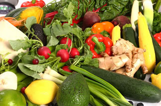 Body Ecology Diet